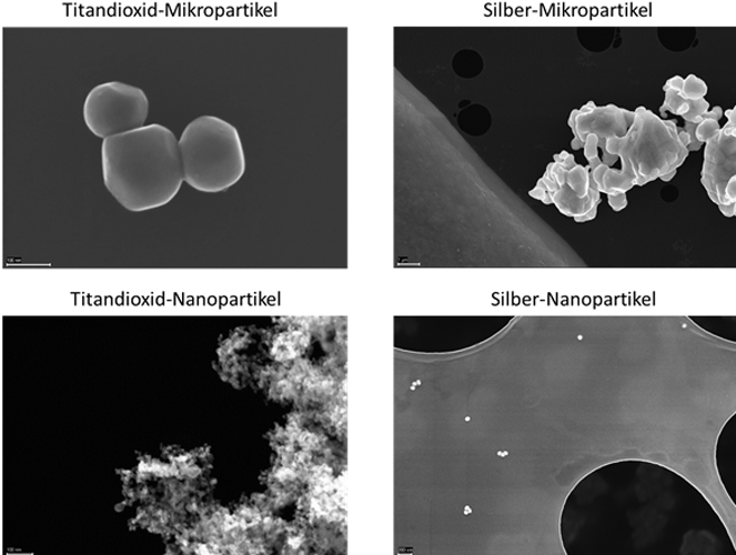 Elektronenmikroskopische Aufnahmen der Mikro- und Nanoformen 
von Titandioxid und Silber