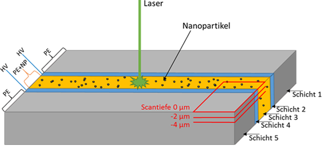 Schematische Darstellung der Proben und Messung von Flächenscans mit Laser-Raman-Mikroskopie