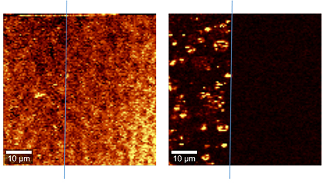 Flächenscan mit Laser-Raman-Mikroskopie nach Erhitzen einer Probe auf 140 °C für ca. 1 h und Abkühlen auf Raumtemperatur. 