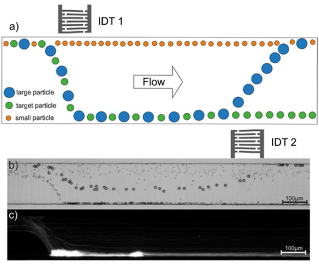 Schematischer Aufbau des Bandpassfilters