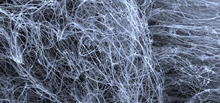 Kohlenstoff-Nanoröhren im Rasterelektronenmikroskop