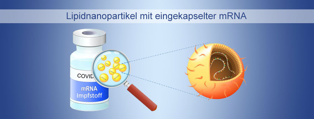 Lipidnanopartikel